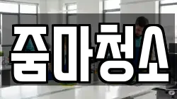 줌마청소