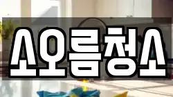 소오름청소