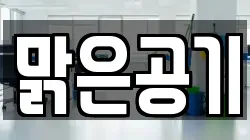 맑은공기