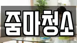 줌마청소