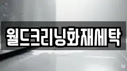 월드크리닝화재세탁