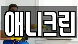 애니크린