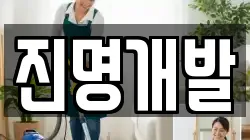 진명개발