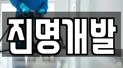 진명개발