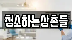 청소하는삼촌들