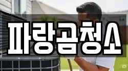 파랑곰청소