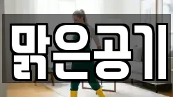 맑은공기