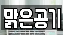 맑은공기