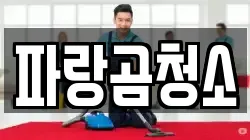 파랑곰청소