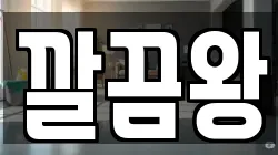 경상북도 청도군 청도읍 청소,입주청소,사무실청소,에어컨청소,특수청소,상가청소,거주청소,유품정리