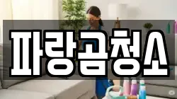 파랑곰청소