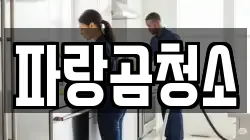파랑곰청소