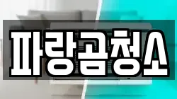 파랑곰청소
