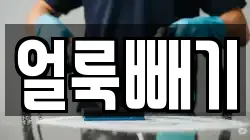 얼룩빼기