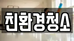 친환경청소