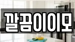깔끔이이모