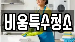 비움특수청소
