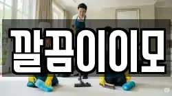 깔끔이이모