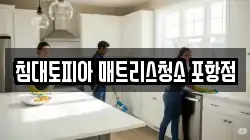 침대토피아 매트리스청소 포항점