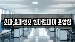 소파,쇼파청소 침대토피아 포항점