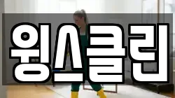 윙스클린