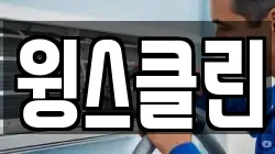 윙스클린