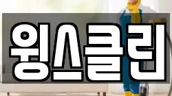 윙스클린