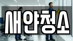 새얀청소