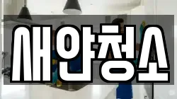 새얀청소