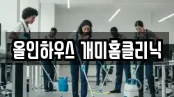 올인하우스 개미홈클리닉
