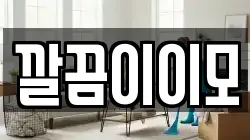 깔끔이이모