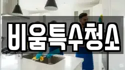 비움특수청소