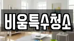 비움특수청소