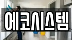 에코시스템