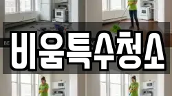 비움특수청소