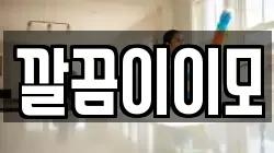 깔끔이이모