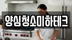 양심청소미하테크