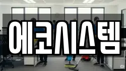 에코시스템