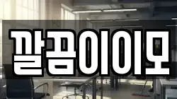 깔끔이이모