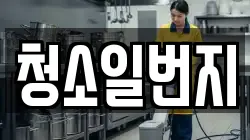 청소일번지