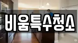 비움특수청소