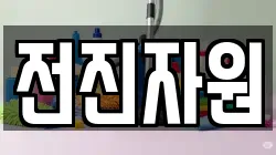 전진자원