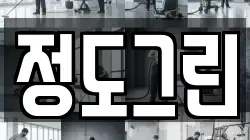 정도그린