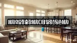 세차의요정출장세차디테일링스팀손세차
