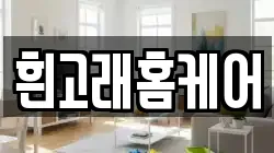 흰고래홈케어