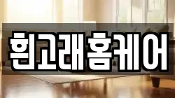 흰고래홈케어