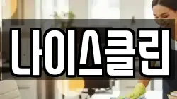 나이스클린
