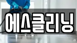 에스클리닝