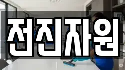 전진자원