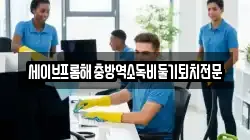 세이브프롬해충방역소독비둘기퇴치전문